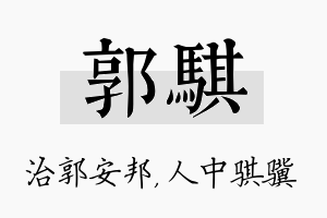 郭骐名字的寓意及含义