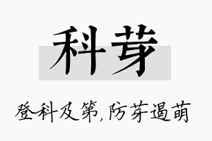 科芽名字的寓意及含义