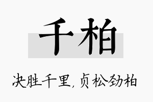 千柏名字的寓意及含义