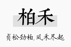 柏禾名字的寓意及含义