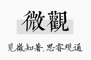 微观名字的寓意及含义