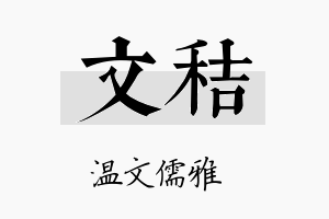 文秸名字的寓意及含义