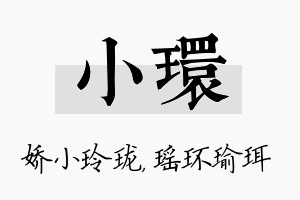 小环名字的寓意及含义