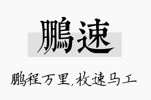 鹏速名字的寓意及含义