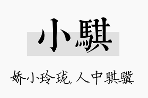 小骐名字的寓意及含义