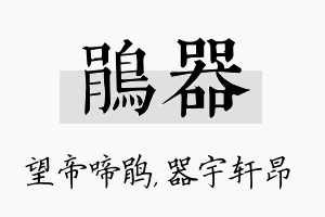 鹃器名字的寓意及含义