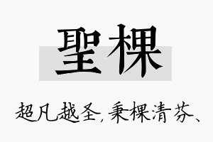 圣棵名字的寓意及含义