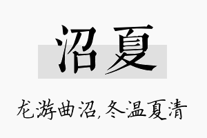 沼夏名字的寓意及含义