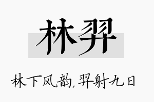 林羿名字的寓意及含义