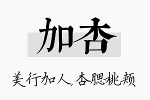 加杏名字的寓意及含义