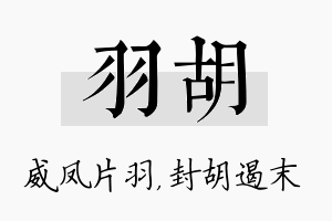 羽胡名字的寓意及含义