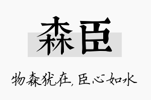 森臣名字的寓意及含义