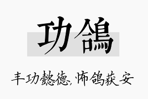 功鸽名字的寓意及含义