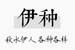 伊种名字的寓意及含义