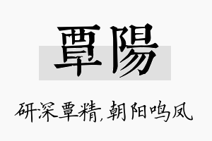 覃阳名字的寓意及含义