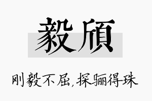 毅颀名字的寓意及含义