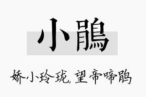 小鹃名字的寓意及含义