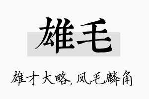 雄毛名字的寓意及含义