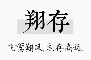 翔存名字的寓意及含义