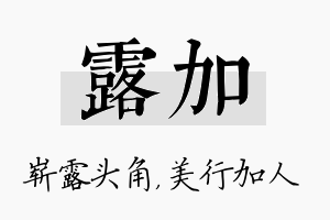 露加名字的寓意及含义