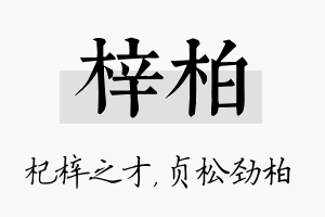 梓柏名字的寓意及含义