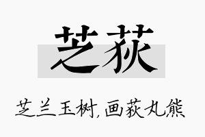 芝荻名字的寓意及含义