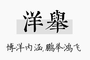 洋举名字的寓意及含义