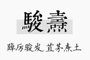 骏焘名字的寓意及含义