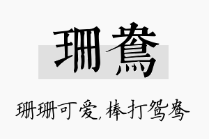 珊鸯名字的寓意及含义