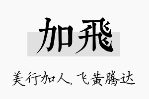 加飞名字的寓意及含义