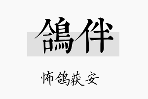 鸽伴名字的寓意及含义