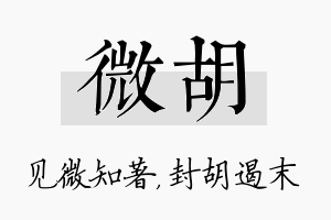 微胡名字的寓意及含义