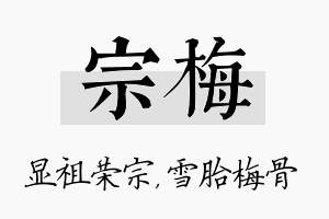 宗梅名字的寓意及含义