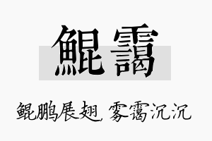 鲲霭名字的寓意及含义