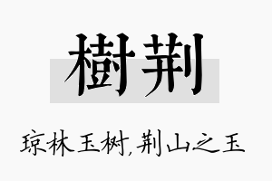 树荆名字的寓意及含义