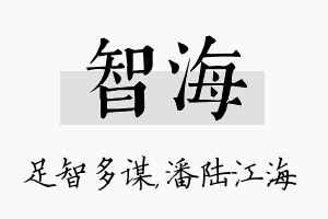 智海名字的寓意及含义