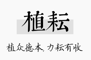 植耘名字的寓意及含义