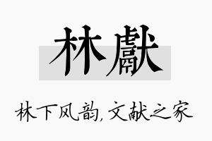 林献名字的寓意及含义