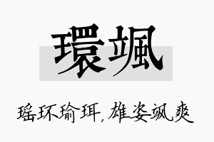 环飒名字的寓意及含义