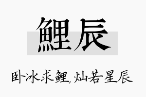 鲤辰名字的寓意及含义