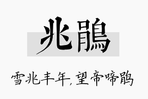 兆鹃名字的寓意及含义