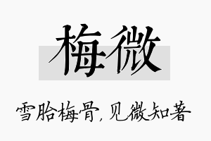 梅微名字的寓意及含义