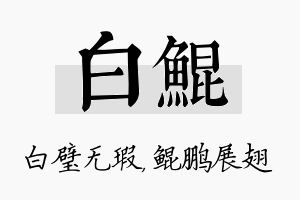 白鲲名字的寓意及含义