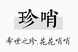 珍哨名字的寓意及含义