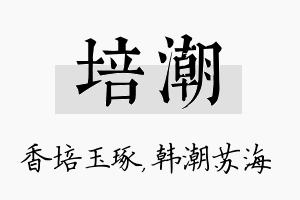 培潮名字的寓意及含义