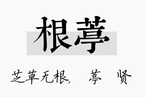 根葶名字的寓意及含义