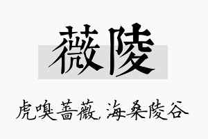 薇陵名字的寓意及含义