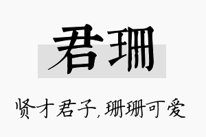 君珊名字的寓意及含义