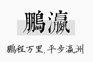 鹏瀛名字的寓意及含义