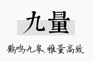 九量名字的寓意及含义